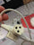 300k 400k foot control lead 3 Pin T
