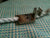 Low Shank Piping Foot Large